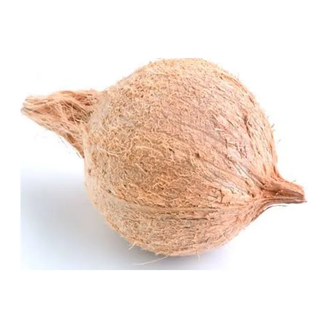 Full Coconut (Kobbari Kaaya)