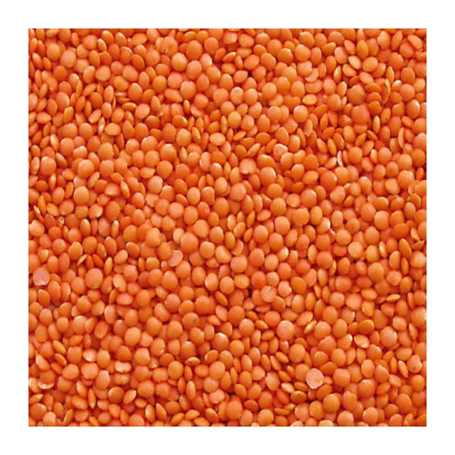 Masoor Daal 500g