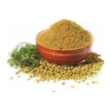 Elvin Dhaniya Powder 500g