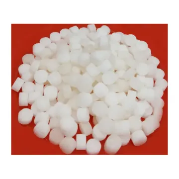Sri Gowri Camphor 10g
