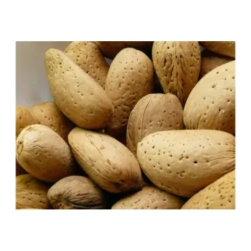 Badam with Shell - 500gm