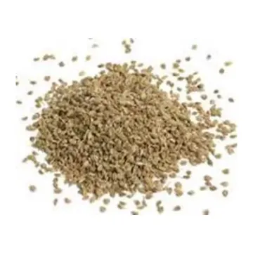 Azwaan(Omam) Seeds - 200g