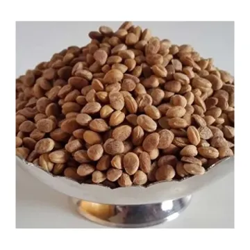 Chironji DryFruit - 50g