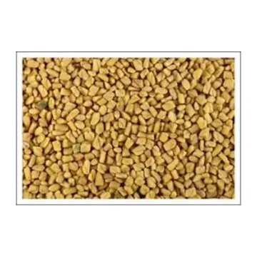 Methi FenuGreek- 100g