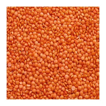 Masoor Daal - 1 kg
