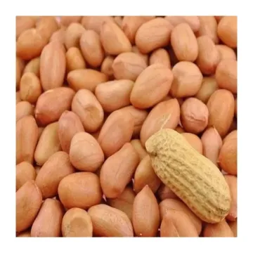 Peanut - 500 Gr