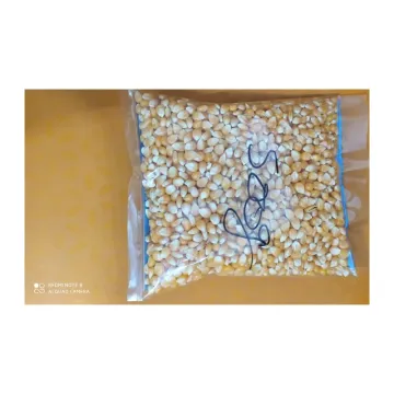 Makka - Popcorn Kernel Seeds -250 g