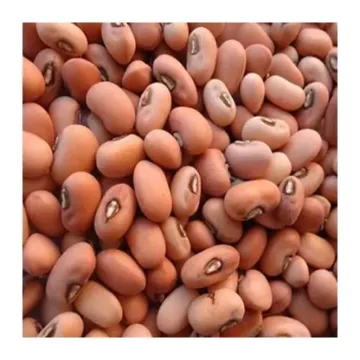 Erra Bobbarlu (Red Cowpeas) 500gm