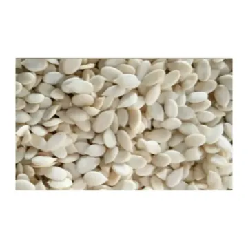 Tarbooz Beenz- 50g